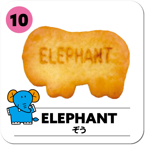 ELEPHANT