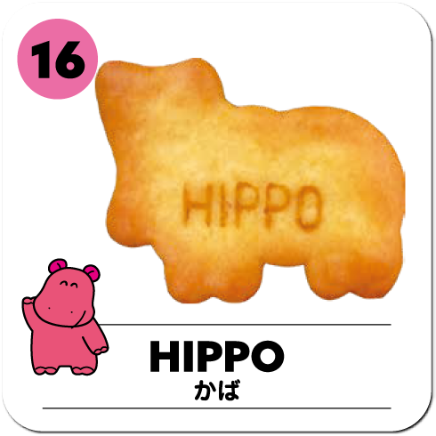 HIPPO