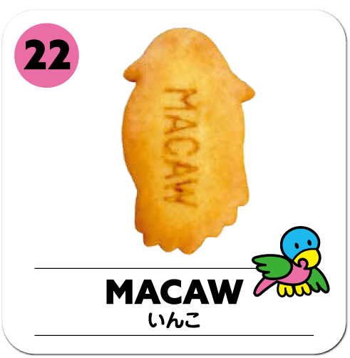 MACOW