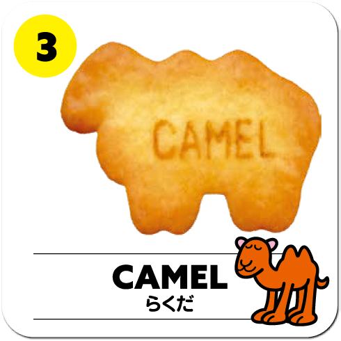 CAMEL