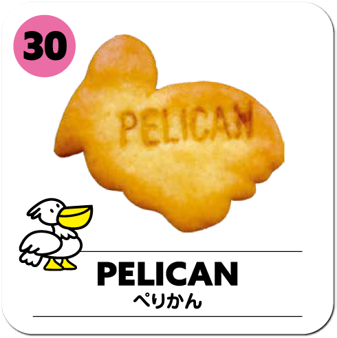 PELICAN
