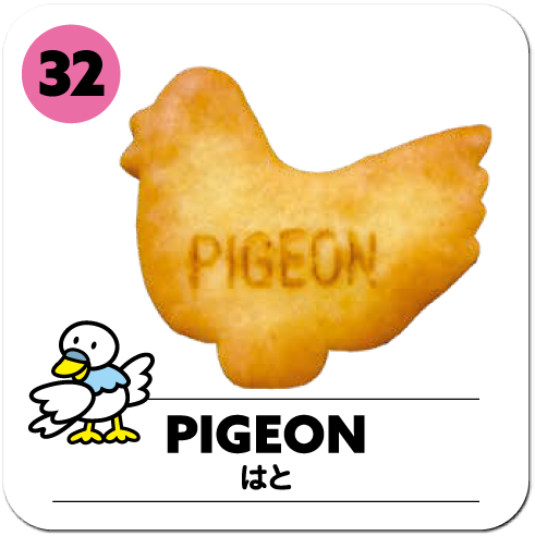 PIGEON