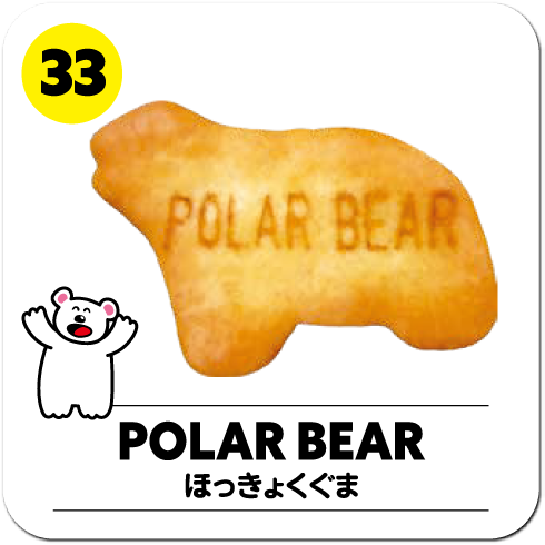POLAR BEAR