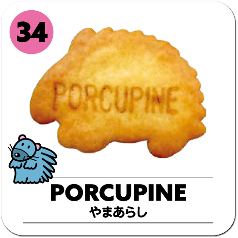 PORCUPINE