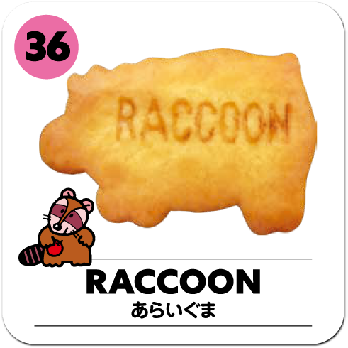 RACOON