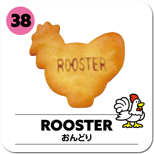 ROOSTER