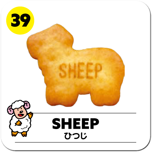SHEEP