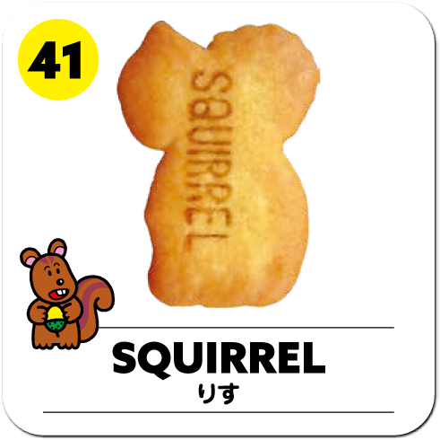 SQUIRREL