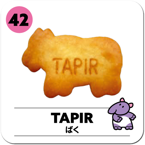 TAPIR