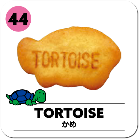 TORTISE