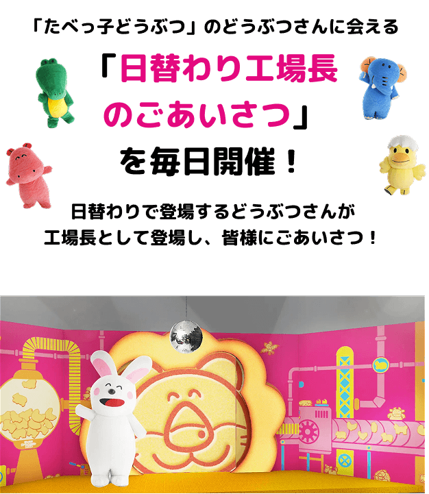 お気に入りのどうぶつさんが登場する日にちをチェック！ぜひ会いにきてね！