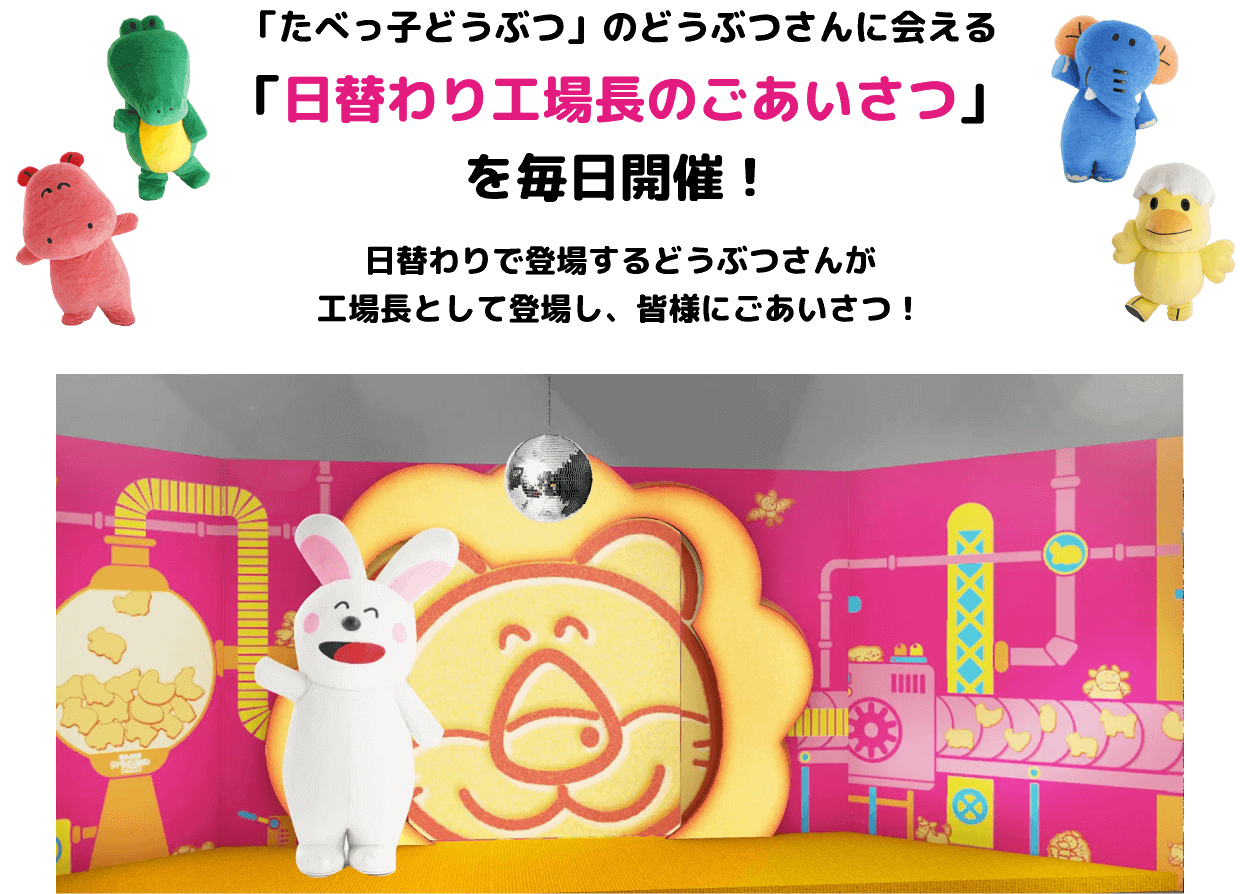 お気に入りのどうぶつさんが登場する日にちをチェック！ぜひ会いにきてね！