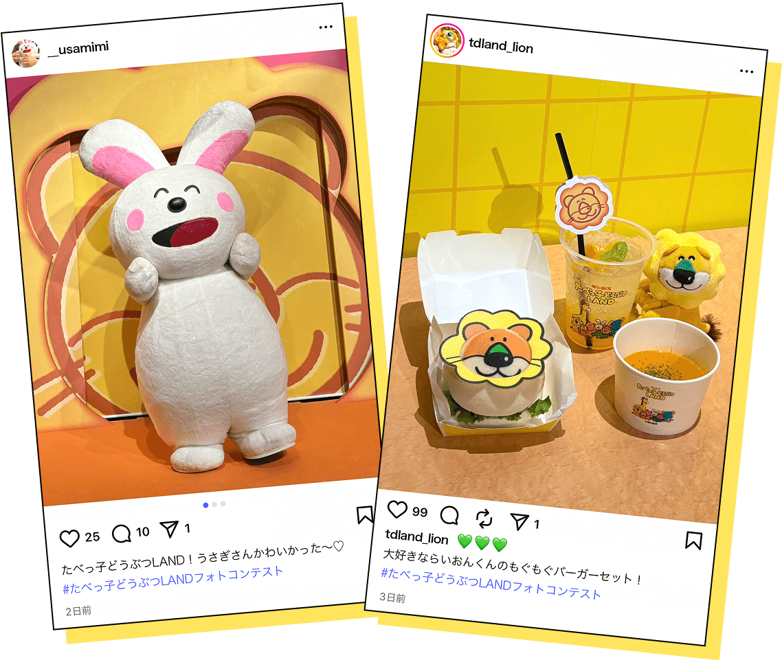 フォトコンテスト