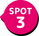  SPOT 3
