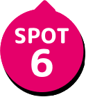 SPOT 6