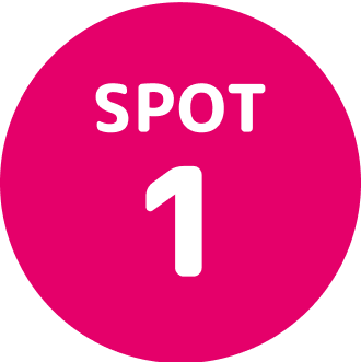 SPOT 1