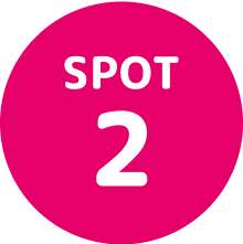SPOT 2
