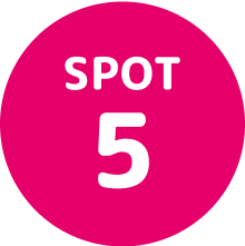 SPOT 5