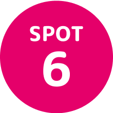 SPOT 6
